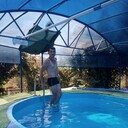  ,   , 29 ,   ,   , c 