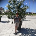  ,   , 53 ,     , c 