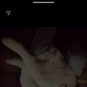 ���������� �����, ���� ������� E���, 29 ���, ������������ ��� ������, ����� � ���������, ���������