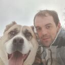 ���������� ������, ���� ������� �����, 36 ���, ������������ ��� ������, ����� � ���������