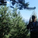 ���������� ���������, ���� ������� �������, 45 ���, ������������ ��� ������, ����� � ���������, c�������� ���������, ���������