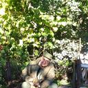 ���������� ������, ���� ������� ������, 54 ����, ������������ ��� ����� � ���������, c�������� ���������