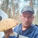 ���������� ���������, ���� ������� �������, 36 ���, ������������ ��� ������, ����� � ���������, c�������� ���������, ���������