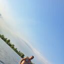  --,   , 33 ,   ,   , 