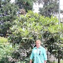  ,   , 62 ,   ,   , c 