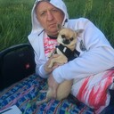 ���������� ������, ���� ������� �����, 41 ���, ������������ ��� ������, ����� � ���������