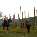 ���������� ���������, ���� ������� ������, 39 ���, ������������ ��� ������, ����� � ���������, c�������� ���������