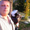 ,   , 51 ,   ,   , c 
