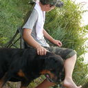  ,   Lerni, 35 ,     , c , 