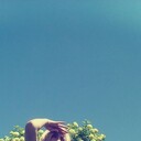 ���������� �����������, ���� ������� ����, 44 ����, ������������ ��� ������, ����� � ���������