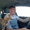 ���������� ������, ���� ������� ������, 44 ����, ������������ ��� ����� � ���������, c�������� ���������, ���������