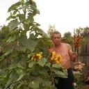  ,   , 56 ,     , c 