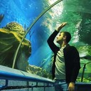 ���������� �����, ���� ������� ����, 32 ����, ������������ ��� ������, ����� � ���������, c�������� ���������, ���������