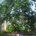 ���������� ����������, ���� ������� ������, 41 ���, ������������ ��� ������, ����� � ���������, c�������� ���������, ���������