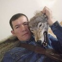  --,   , 41 ,   c 