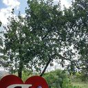  -,   , 41 ,   ,   , c 