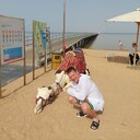 ���������� ����, ���� ������� �����, 38 ���, ������������ ��� ������, ����� � ���������, c�������� ���������, ���������