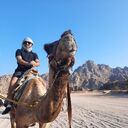 ���������� ������, ���� ������� YUSOF, 31 ���, ������������ ��� ������, ����� � ���������