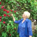  ,   , 65 ,     