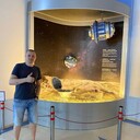 ���������� ������-��-����, ���� ������� ��������, 39 ���, ������������ ��� ������, ����� � ���������