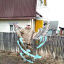 ���������� �������, ���� ������� ��������, 53 ����, ������������ ��� ������, ���������