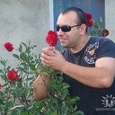 ���������� ������, ���� ������� ������, 38 ���, ������������ ��� ������, ����� � ���������, c�������� ���������