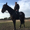 ���������� �����, ���� ������� Wolf, 29 ���, ������������ ��� c�������� ���������, ���������