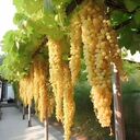 ���������� ������, ���� ������� Dima, 29 ���, ������������ ��� ������, ����� � ���������, c�������� ���������, ���������