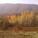 ���������� ���������, ���� ������� ������, 43 ����, ������������ ��� ������, ����� � ���������, c�������� ���������