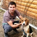 ���������� ������, ���� ������� ��������, 38 ���, ������������ ��� ������, ����� � ���������, c�������� ���������, ���������