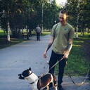 ���������� ������, ���� ����� ����, 23 ����, ������������ ��� ������, ����� � ���������