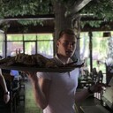 ���������� ��������, ���� ����� ������, 23 ����, ������������ ��� ������, ����� � ���������, ���������