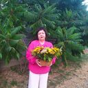 ���������� ���������, ���� ������� �������, 70 ���, ������������ ��� ������, ����� � ���������