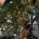 ���������� ������, ���� ������� ��������, 39 ���, ������������ ��� ������, ����� � ���������