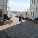 ���������� ����, ���� ������� ������, 41 ���, ������������ 