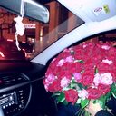  -,   , 44 ,   ,   , c , 