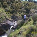  ,   Tomas, 40 ,   ,   , c 