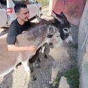  ,   , 30 ,   ,   