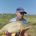  ,   , 59 ,   ,   
