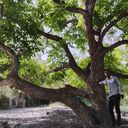  --,   Mohemad, 28 ,   ,   