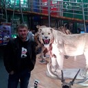 ���������� ����� �������, ���� ������� ������, 36 ���, ������������ ��� ������, ����� � ���������, c�������� ���������, ���������