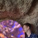 ���������� ������, ���� ������� ��������, 40 ���, ������������ ��� ������, ����� � ���������, c�������� ���������