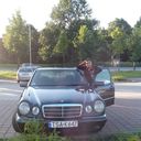  Pleven,   Dani, 38 ,   ,   , c 