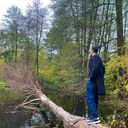 ���������� ����, ���� ������� �����, 28 ���, ������������ ��� ���������