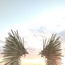 ���������� �����-���������, ���� ������� ����, 53 ����, ������������ ��� ����� � ���������, c�������� ���������, ���������