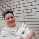 ���������� ������, ���� ������� �������, 39 ���, ������������ ��� ������, ����� � ���������