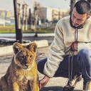 ���������� ���������, ���� ������� �����, 29 ���, ������������ ��� ������, ����� � ���������