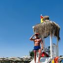 ���������� ������, ���� ������� ���������, 37 ���, ������������ ��� ������, ����� � ���������