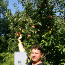 ���������� ��������, ���� ������� ��������, 42 ����, ������������ ��� ������, ����� � ���������, c�������� ���������