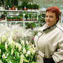 ���������� ������-��-����, ���� ������� �����, 44 ����, ������������ ��� ����� � ���������, c�������� ���������